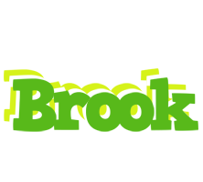 Brook picnic logo