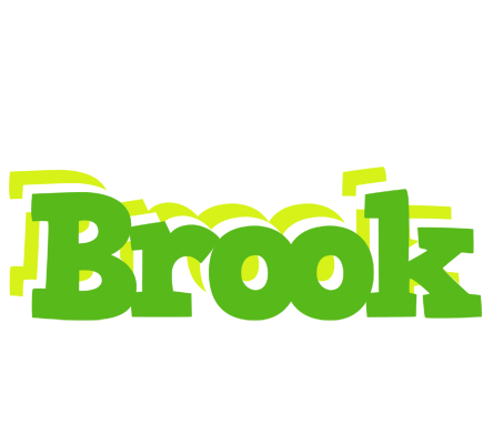 Brook picnic logo