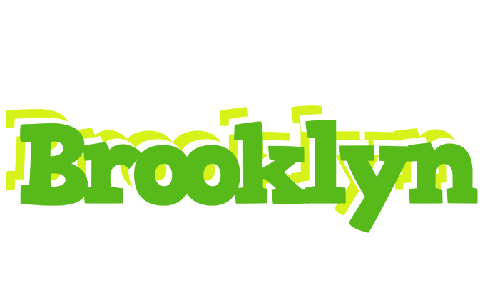 Brooklyn picnic logo