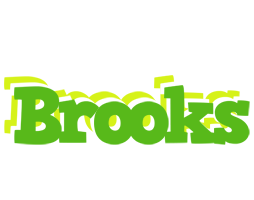 Brooks picnic logo