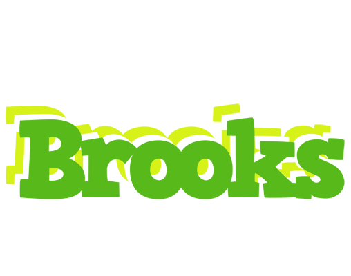 Brooks picnic logo