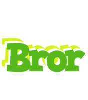 Bror picnic logo