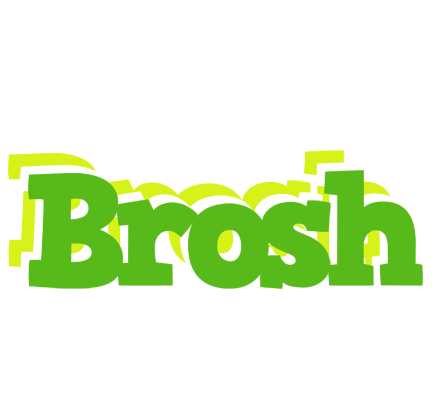 Brosh picnic logo