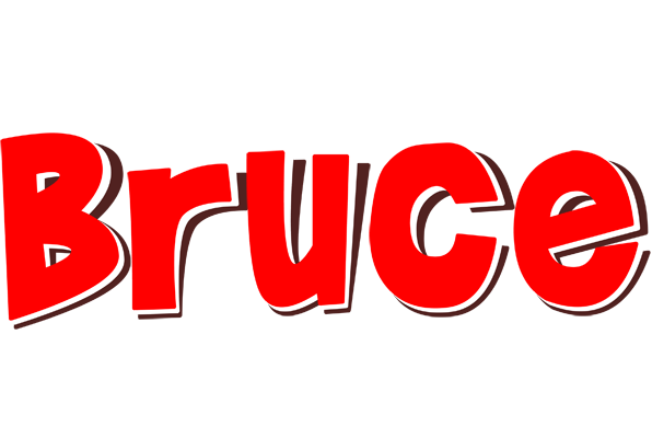 Bruce basket logo