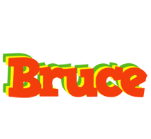 Bruce bbq logo