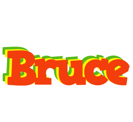 Bruce bbq logo