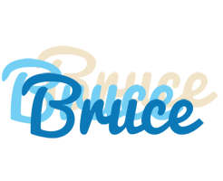 Bruce breeze logo