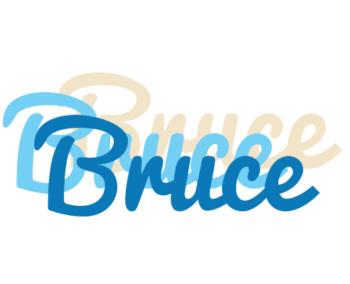 Bruce breeze logo