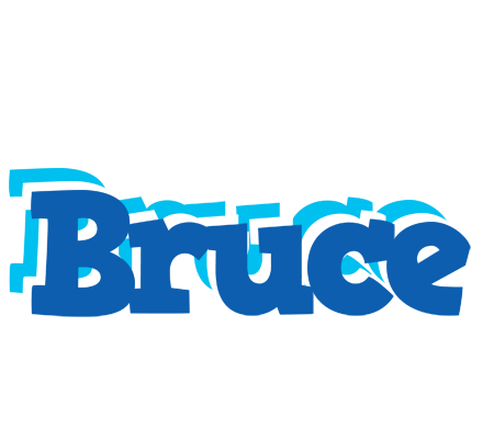 Bruce business logo