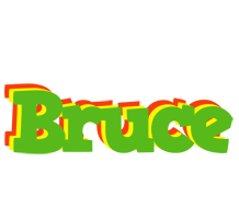 Bruce crocodile logo