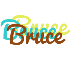 Bruce cupcake logo