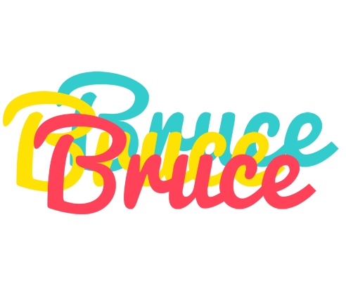 Bruce disco logo