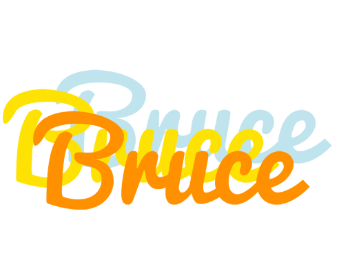 Bruce energy logo