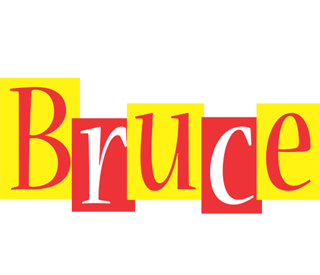 Bruce errors logo