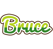 Bruce golfing logo