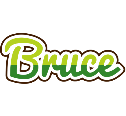 Bruce golfing logo