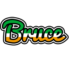 Bruce ireland logo