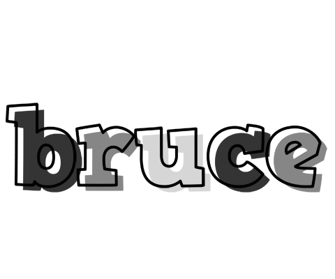 Bruce night logo
