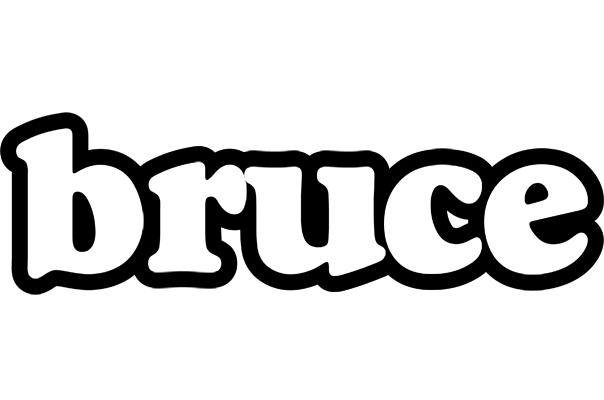 Bruce panda logo