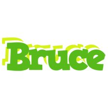 Bruce picnic logo