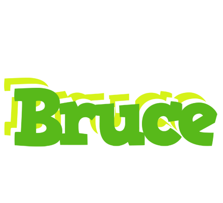 Bruce picnic logo