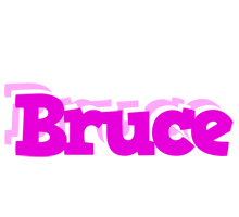 Bruce rumba logo