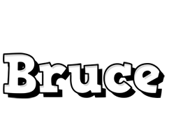 Bruce snowing logo