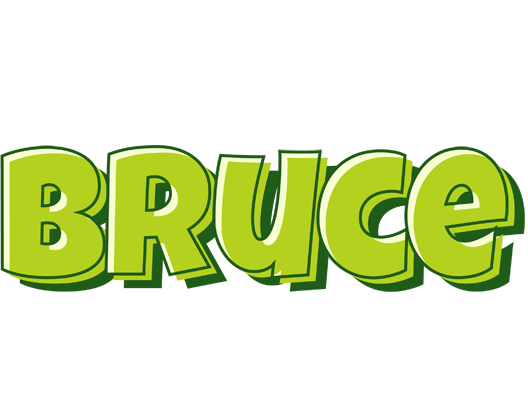 Bruce summer logo