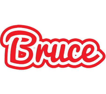 Bruce sunshine logo