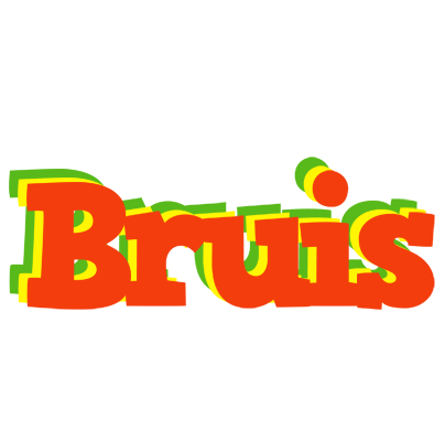 Bruis bbq logo