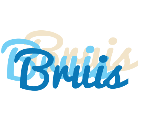 Bruis breeze logo