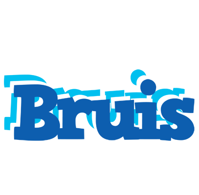 Bruis business logo
