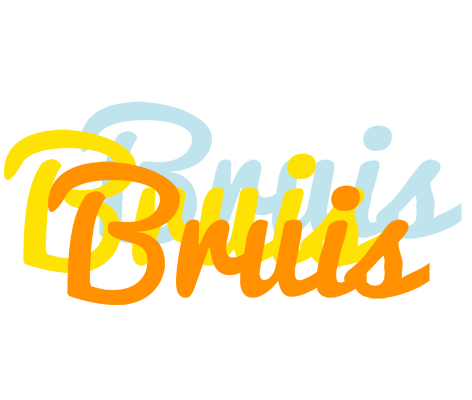 Bruis energy logo