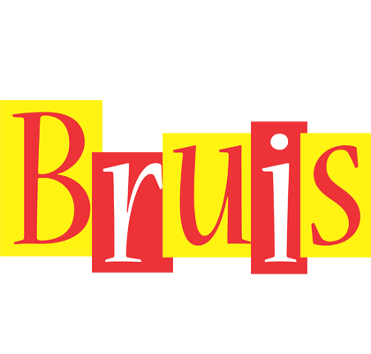 Bruis errors logo