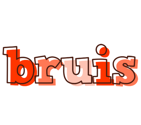 Bruis paint logo