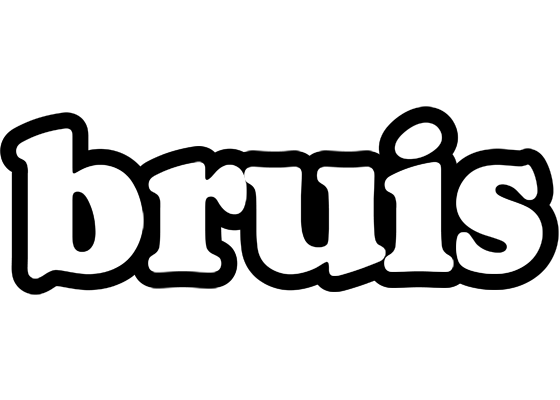Bruis panda logo
