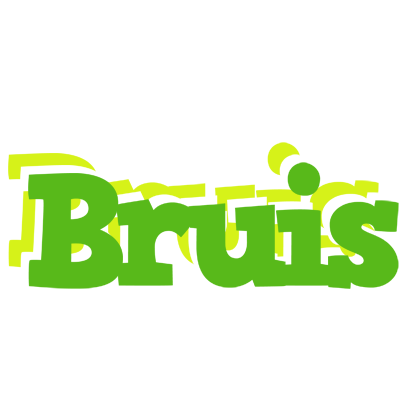 Bruis picnic logo