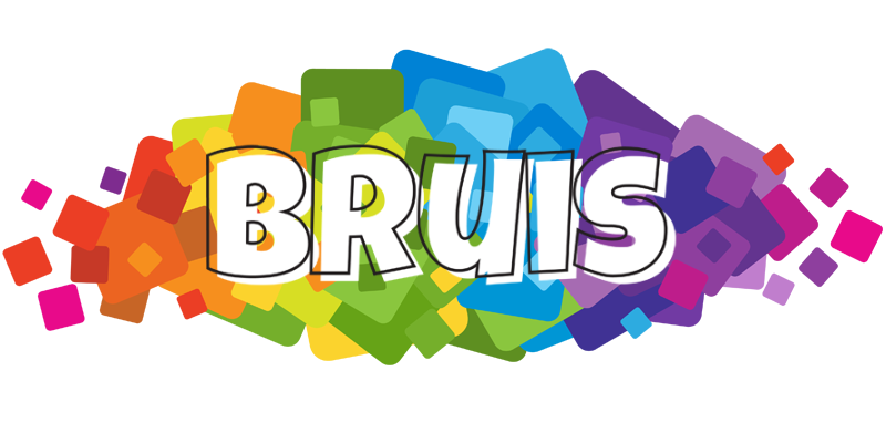 Bruis pixels logo