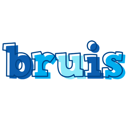 Bruis sailor logo