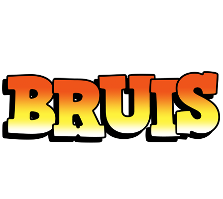 Bruis sunset logo