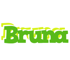 Bruna picnic logo