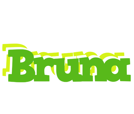 Bruna picnic logo
