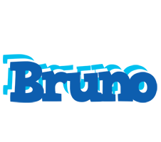 Bruno business logo