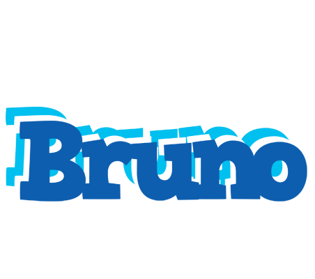 Bruno business logo