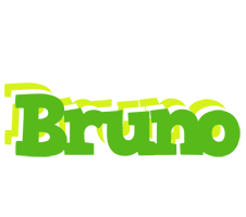 Bruno picnic logo