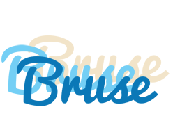 Bruse breeze logo