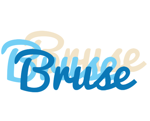 Bruse breeze logo