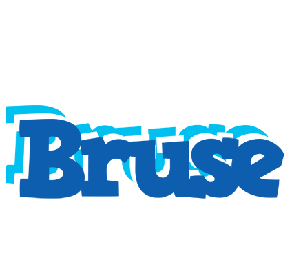 Bruse business logo