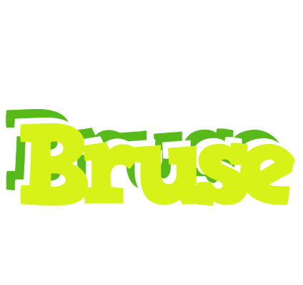 Bruse citrus logo