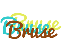 Bruse cupcake logo